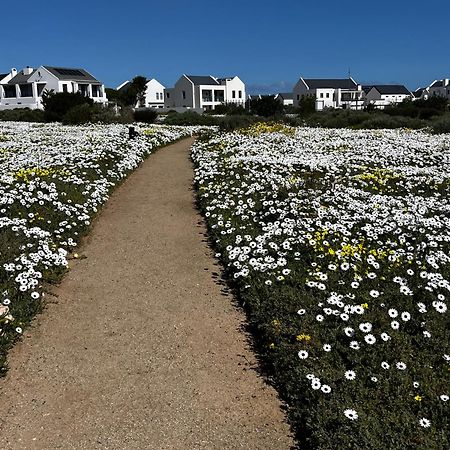 Clam Lagoon Langebaan Exterior foto