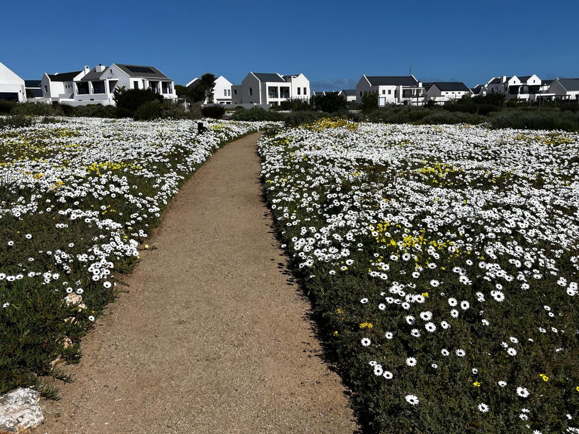 Clam Lagoon Langebaan Exterior foto